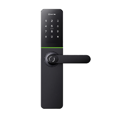 Замок электронный Rigel